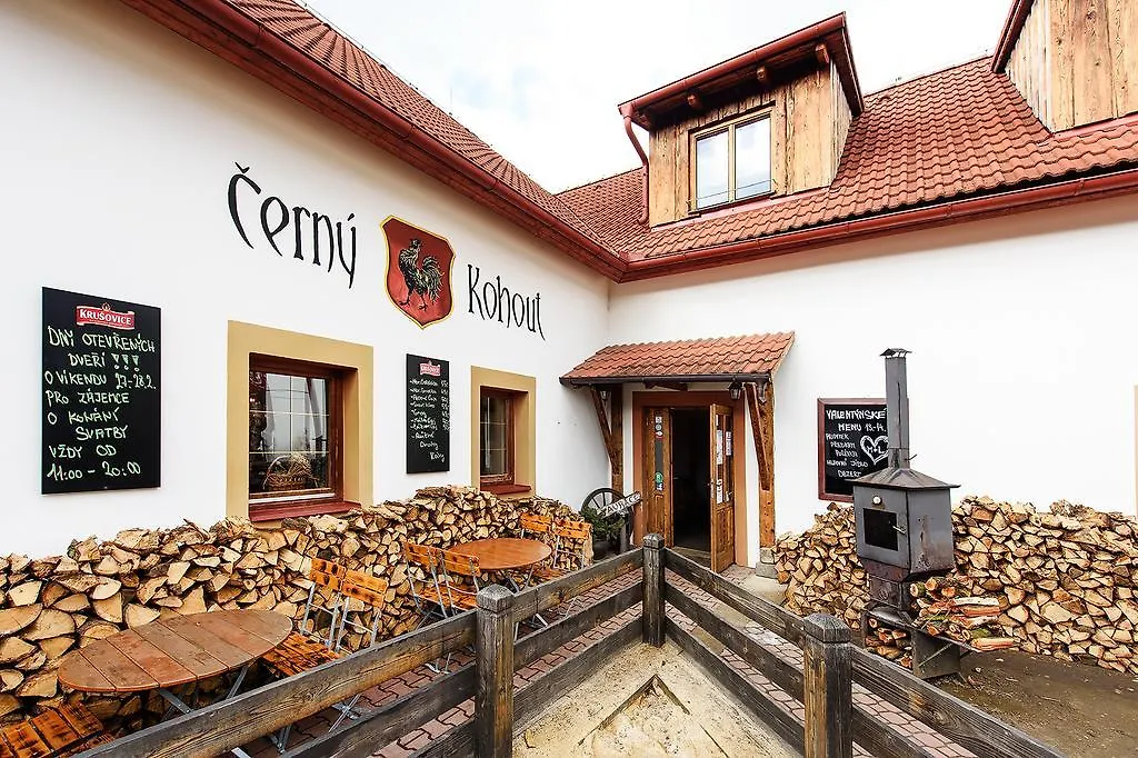 Cerny Kohout Apartment Prague 0*,  Czech Republic